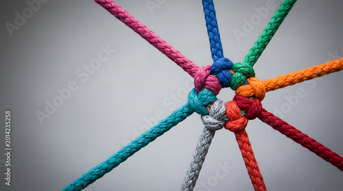 Colorful interconnected ropes symbolizing unity and teamwork
