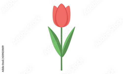 Tulip flower vector on white background. Floral clip art. Nature concept. Flowers and plants. Tulip flower vector illustration. Colorful tulip vector. 
