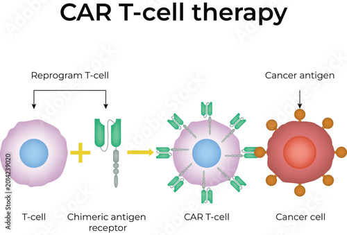 Chimeric Antigen Receptor (CAR) T-cell therapy Design Vector Illustration