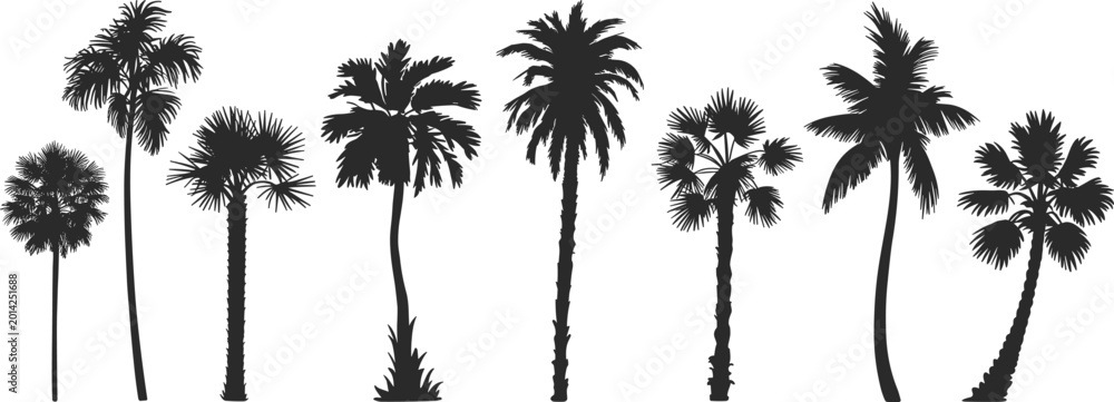 Fototapeta premium Black palm tree silhouettes, tropical coconut plants, exotic island flora, summer beach vacation elements, isolated nature icons, botanical foliage