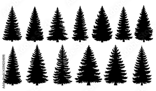 Foto Pine and spruce tree silhouette vector set evergreen forest nature collection is