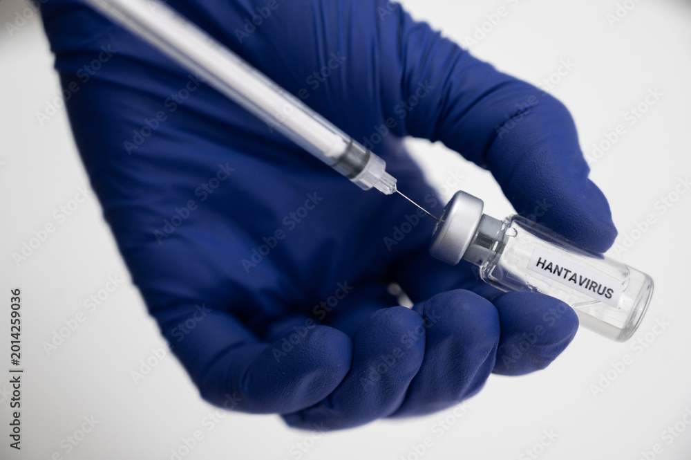Naklejka premium Hand preparing hantavirus vaccine dose with syringe