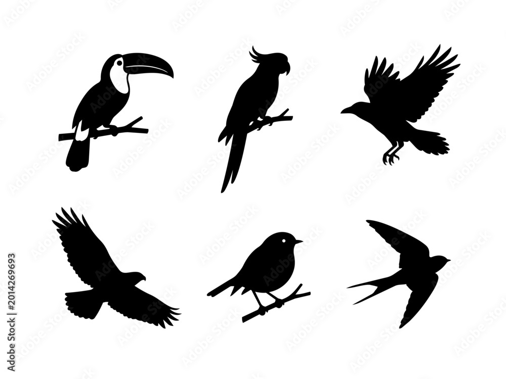 Fototapeta premium Set of six black silhouette birds flying and perched on branches isolated on transparent background, Vector