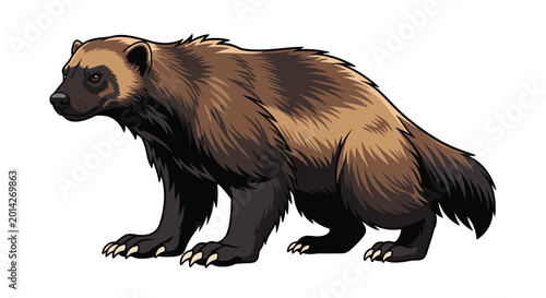 A powerful wolverine with its thick fur and strong build is depicted standing alert, showcasing its fierce and rugged nature.