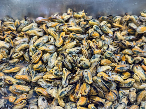Photos Large pile of freshly shucked mussels suitable for seafood recipes, restaurant menus, food blogs, culinary backgrounds, and seafood industry marketing