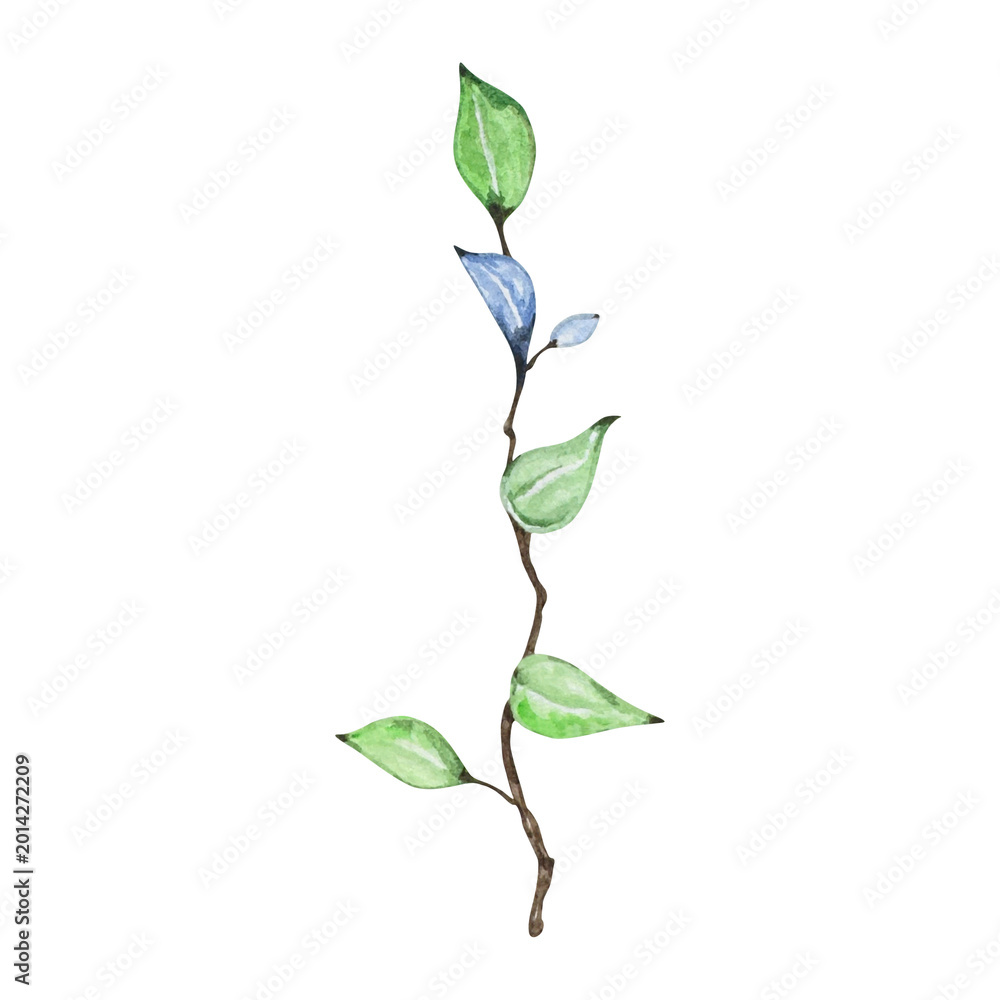 Fototapeta premium Watercolor Succulent Plant Isolated on Transparent Background