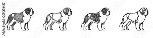 Canvas Print Sketch saint bernard icon design set