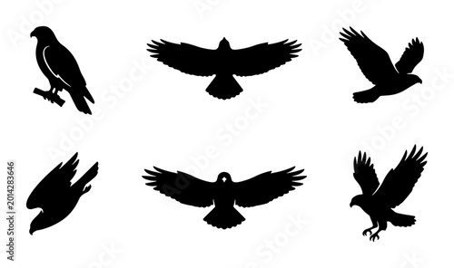 Six Silhouette Vector Icons of Birds of Prey in Flight and Perched, Majestic Eagles and Hawks, Minimalist Black and White Wildlife Graphics