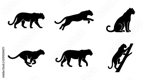 Foto Black Panther Silhouettes Collection, Wild Cat Poses Vector Set, Feline Animal G