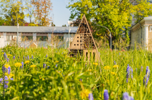 Photography Insect hotel in a wildflower meadow in a Moscow park