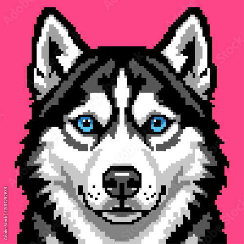 Siberian Husky dog head pixel art illustration in a front view with blue eyes and alert ears isolated on a pink background for animal game sprites.