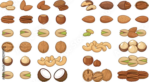 Foto Nut Collection Vector Illustration Set with Peanuts, Almonds, Walnuts, Cashews,