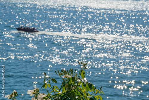 Foto il lago in estate con riflessi argentei
