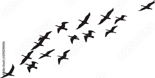 Cuadro en lienzo Minimal flying bird flock silhouette with graceful migratory formation in the open sky