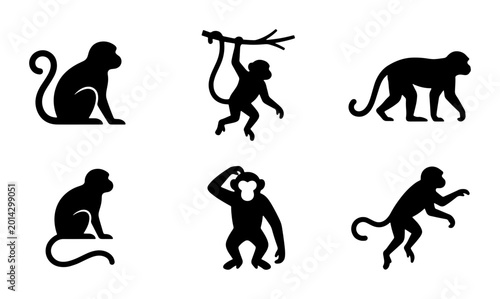 Photography Monkey Silhouettes Collection, Primate Icons Set, Jungle Animal Graphics, Wild M