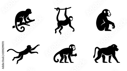 Photography Monkey Icon Set, Primate Silhouette Collection, Jungle Animal Vector Graphics, W