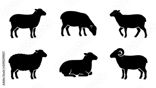 Schilderij op canvas Vector Sheep Silhouettes Collection, Farm Animals, Livestock Icons, Agricultural