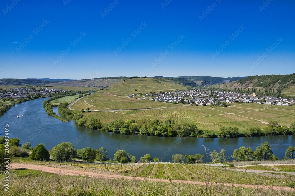 Fototapeta premium Fahrradtour an der Mosel bei Leiwen