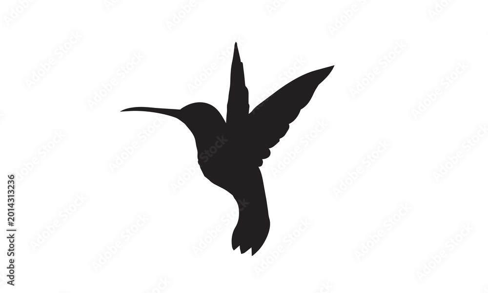 Obraz premium A detailed and aesthetically pleasing vector illustration of a hummingbird, isolated against a white background. An elegant and colorful graphic element for nature-themed designs.
