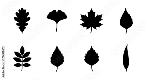 Bild auf Leinwand Black Leaf Silhouettes, Autumn Foliage Vector Icons, Nature Plant Elements, Fall