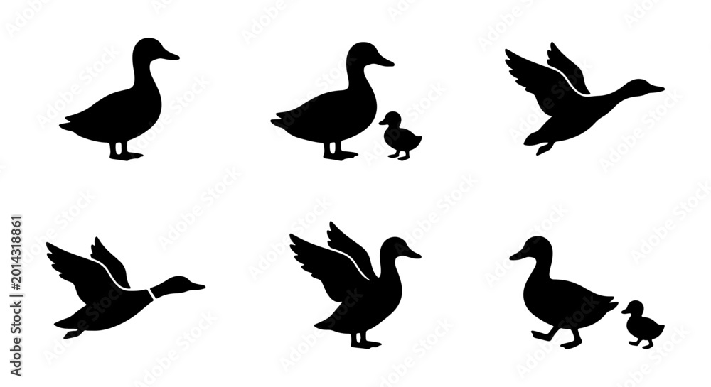 Fototapeta premium Duck Silhouettes Collection: Flying, Standing, Walking Birds, Mother and Child