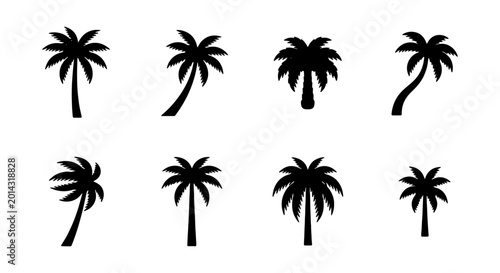 Fotografie Palm Tree Icons Set, Tropical Silhouette Collection, Vector Beach Elements