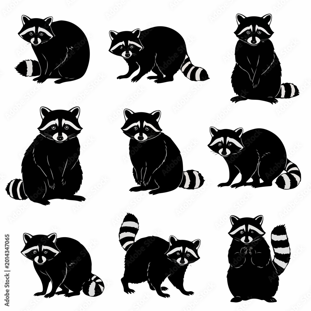 Obraz premium Cute raccoon animal silhouettes isolated against elegant white background