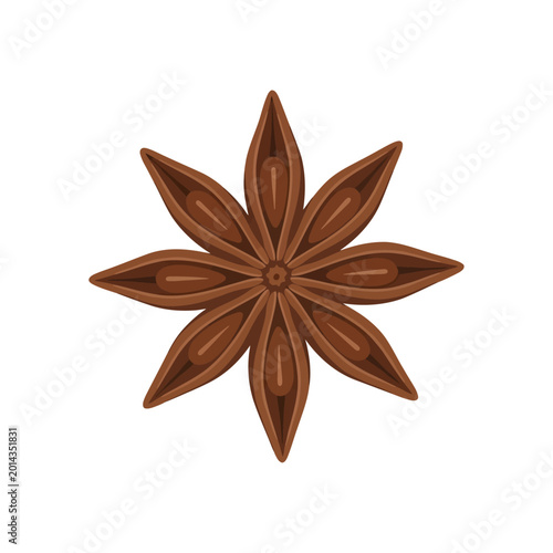 Konstfotografi Star anise spice illustration, an aromatic star-shaped spice for cooking and bak