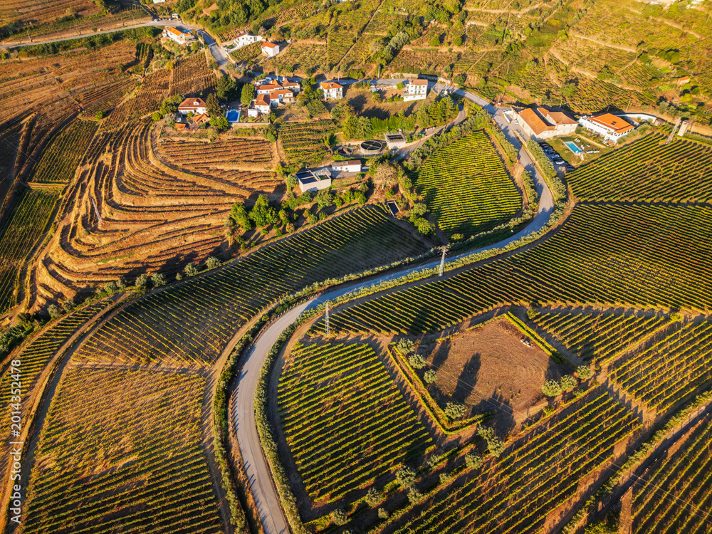 Fototapeta premium Drone view of vineyards and hills in Douro Valley, Portugal, with Douro valley hills, terraced vineyards, and village homes among vineyards
