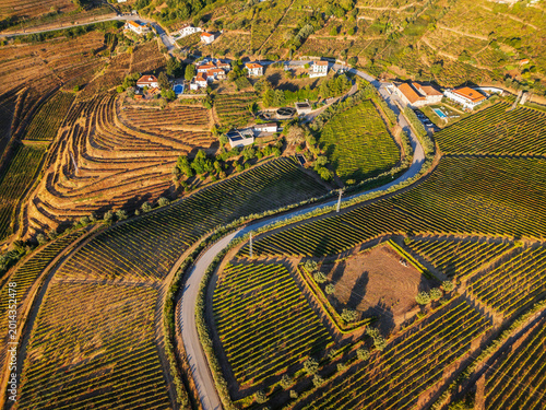 Drone view of vineyards and hills in Douro Valley, Portugal, with Douro valley hills, terraced vineyards, and village homes among vineyards