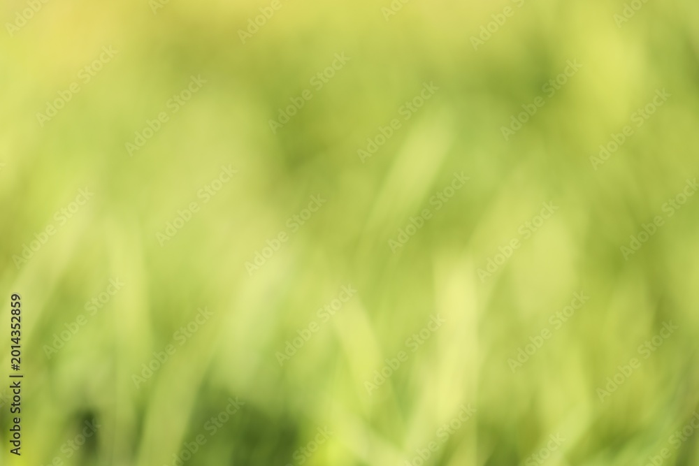 Naklejka premium Blurred view of abstract green background, closeup