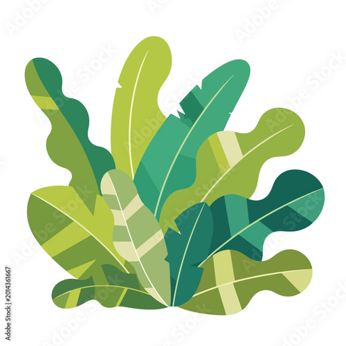 Foto Collection of green leafy plant leaves.