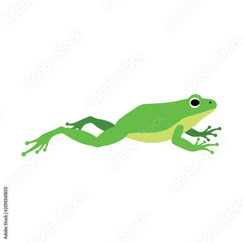Photos Green Frog Amphibian Animal Illustration.