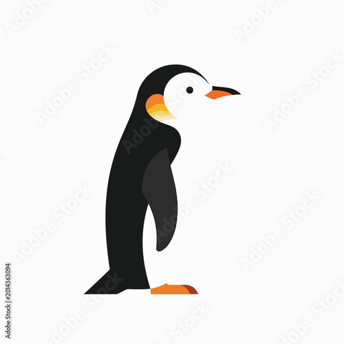 Photos Penguin standing on orange feet sideways.