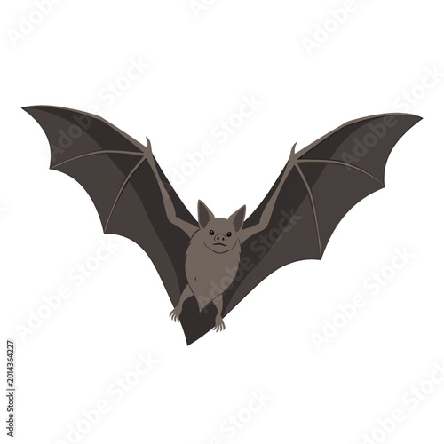 Fotografija Dark brown flying bat creature wings spread.