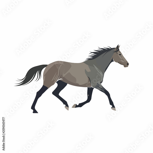 Cuadro en lienzo Gray Horse Running Fast Outdoors Freely.