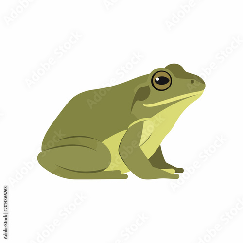 Photos Green Frog Sitting on White Background.