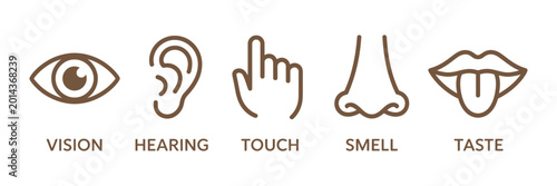 Obraz na płótnie Five Senses Icon Set Featuring Human Sense Organs with Eye, Ear, Nose, Lips and