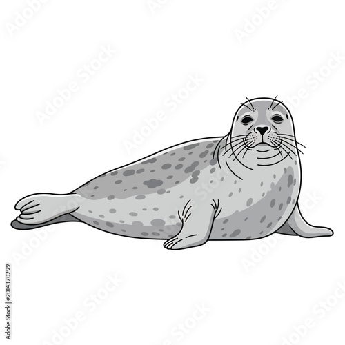 Spotted seal lying on surface calmly.