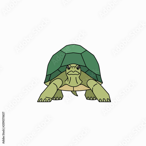 Fotografia Turtle Cartoon Character Green Shell.