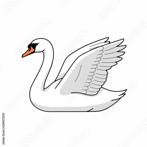 Photos White Swan Bird With Orange Beak.