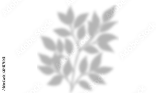 Delicate white floral silhouette on light background
