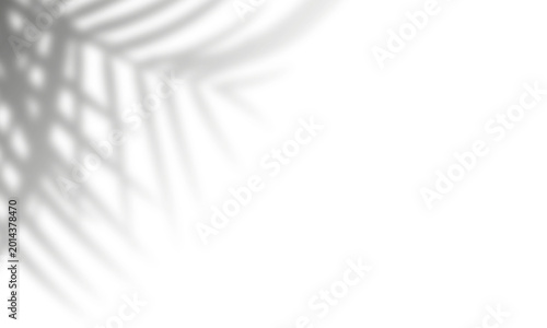 Minimalist abstract diagonal lines pattern on white background