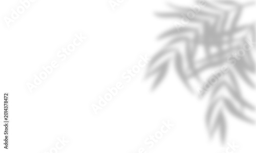 Abstract ink splash on white background with dynamic motion