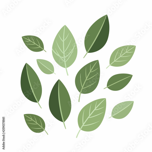 Fotografie Collection of green leafy foliage.