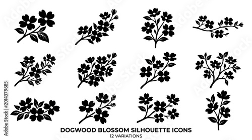 Dogwood Blossom Vector Illustration | Elegant Botanical Floral Artwork | Spring Bloom Nature Design