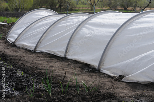 Greenhouse greenhouse made of agrofiber in the garden. Greenhouses for growing vegetables.