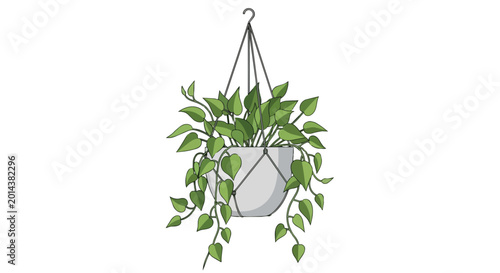 Hanging Indoor Pothos Plant with Trailing Green Vines in a White Minimalist Pot Illustration