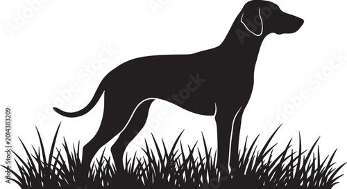 Tableau sur toile A striking black silhouette of a pointer dog standing alertly in tall grass, con