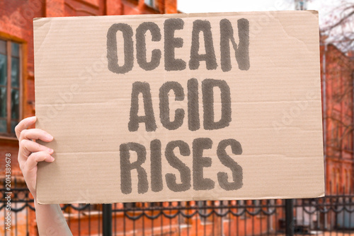 Schilderij op canvas "Ocean Acid Rises" Increased CO2 absorption makes seawater more acidic dissolving marine shells